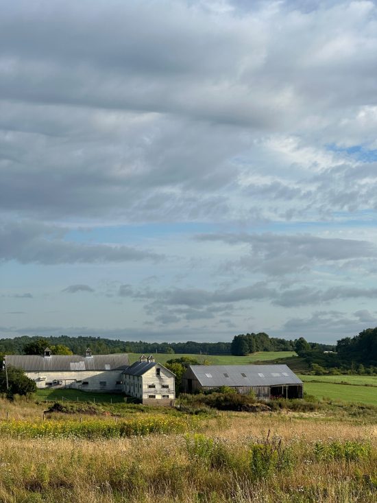 Middlebury Farm