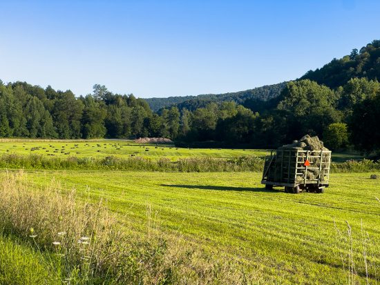 Haywagon in a green field
